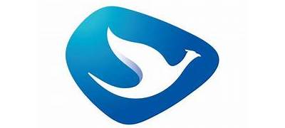 Blue Bird