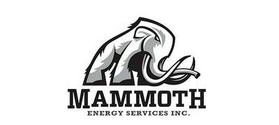 Mammoth Energy Services